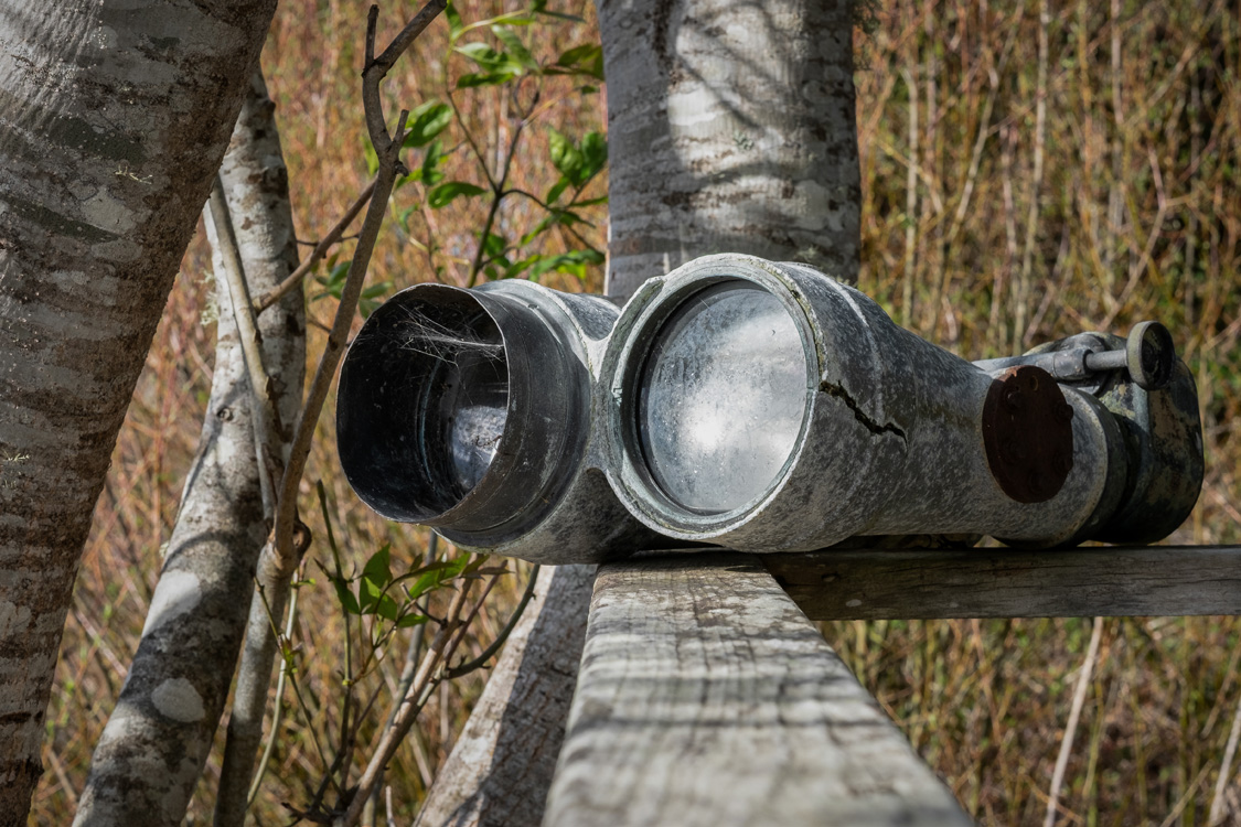 mesa-refuge-old-binoculars.jpg Weathered binoculars resting on a wooden railing among trees.