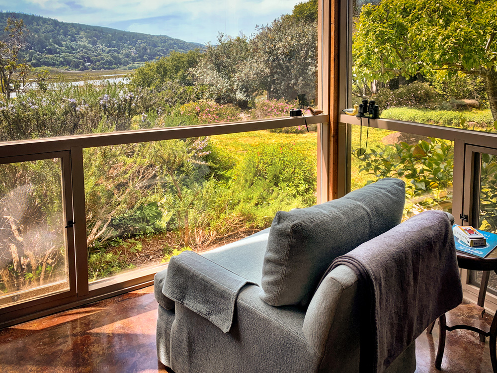 mesa-refuge-window-reading-chair.jpg Comfortable armchair by a window with views of lush gardens and the estuary.