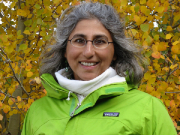 2015-spring-Mendiratta-300×225