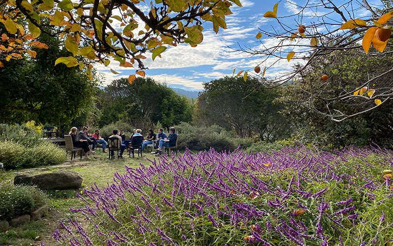 2023-FOOD-AND-FARM-FELLOWS-800×500-Malia-Wollan