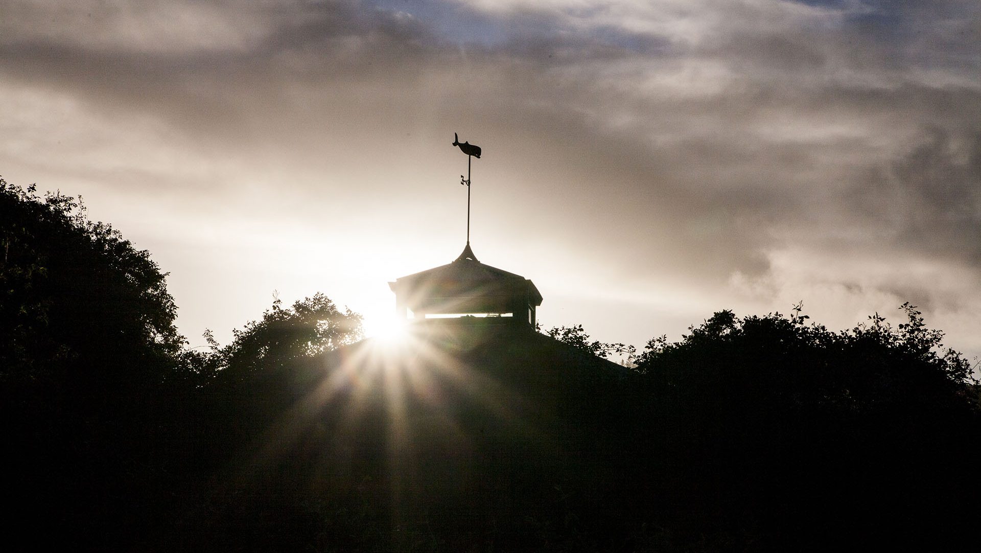 News_BannerImage copy