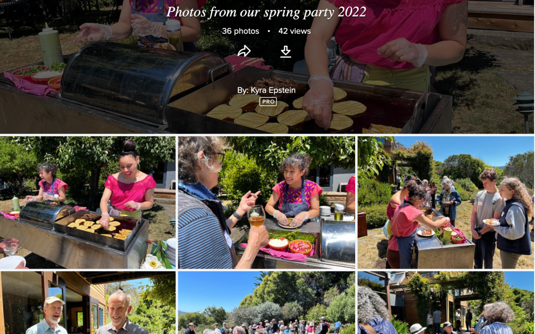 Thank you! Spring Campaign