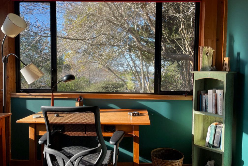 Introducing Alum Weeks!