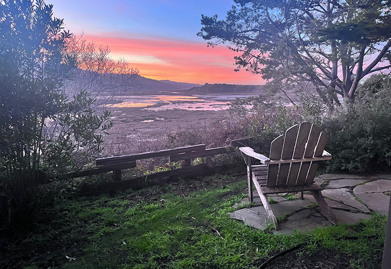 wetland-at-sunset-800×550-Erica-Kohl-Arenas